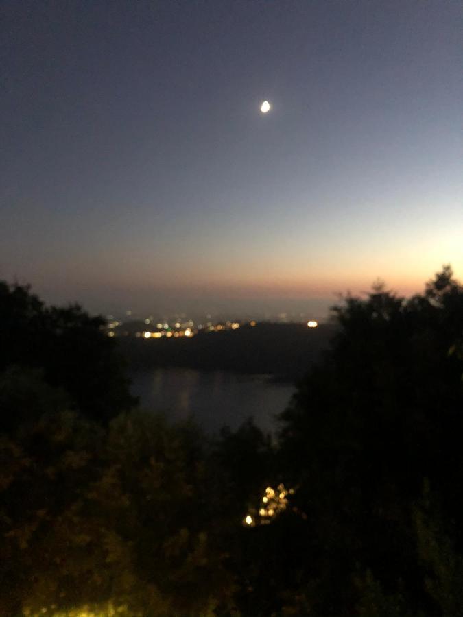 Isola Sul Lago نيمْيِ المظهر الخارجي الصورة